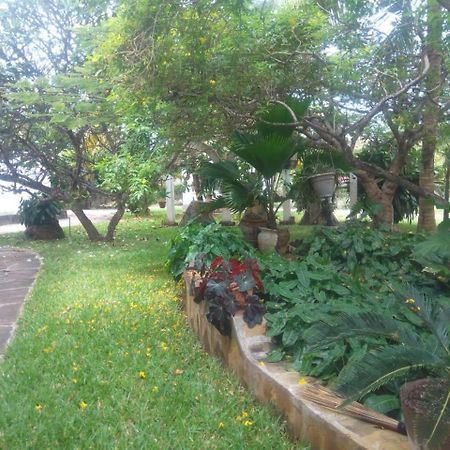 Pashmina House Bed and Breakfast Watamu Buitenkant foto
