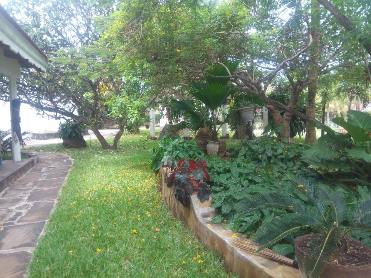 Pashmina House Bed and Breakfast Watamu Buitenkant foto