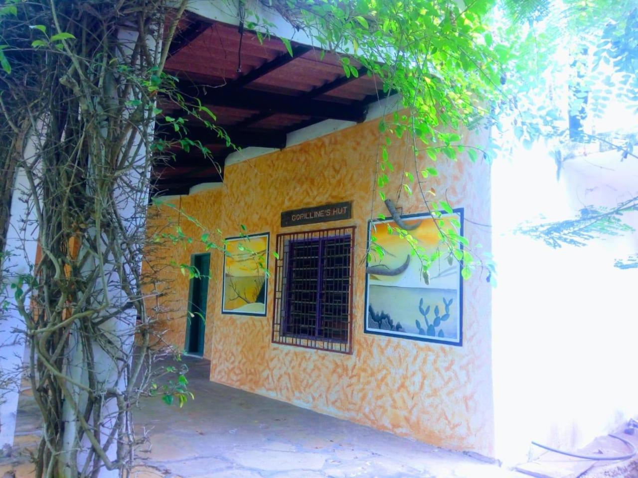 Pashmina House Bed and Breakfast Watamu Buitenkant foto