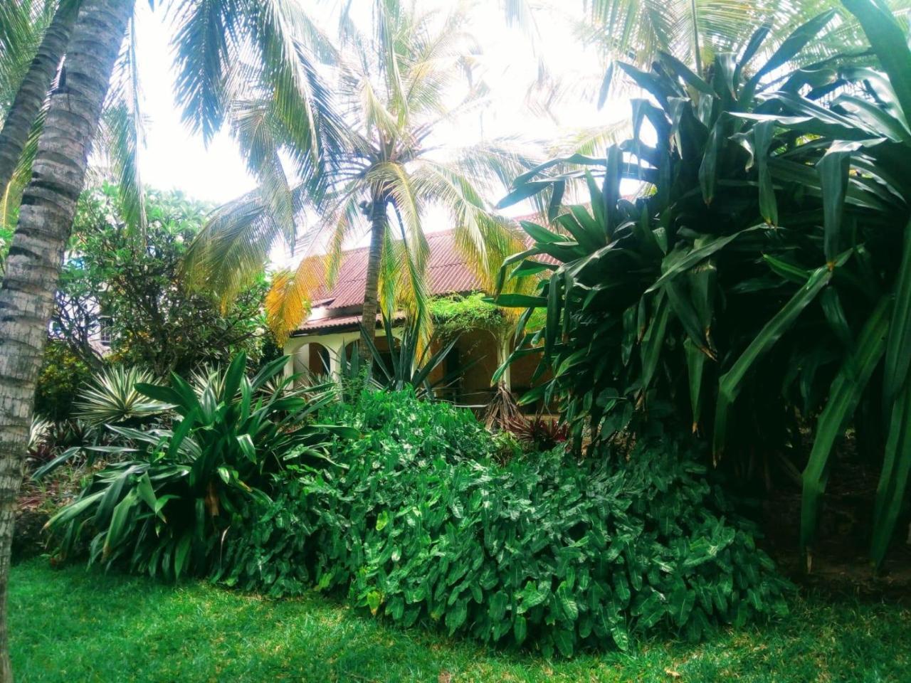 Pashmina House Bed and Breakfast Watamu Buitenkant foto